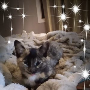 Meet your Posher, Crystal